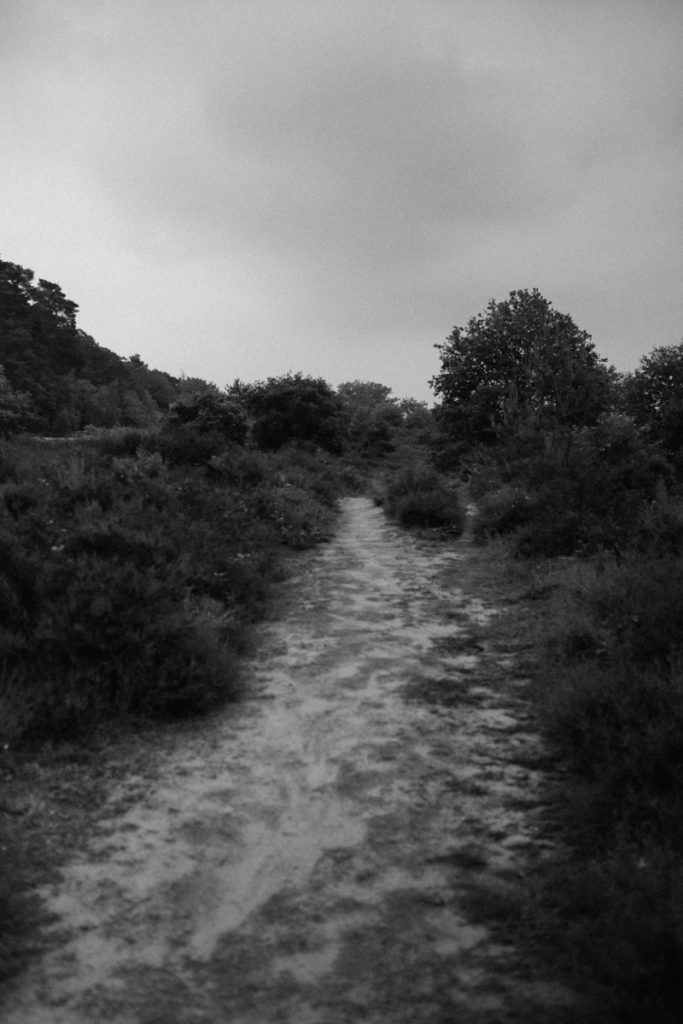 Wahner Heide schwarzweißbild Porträtfotografie Sascha Etzbach Fotografie Pulheim Fotograf Köln
